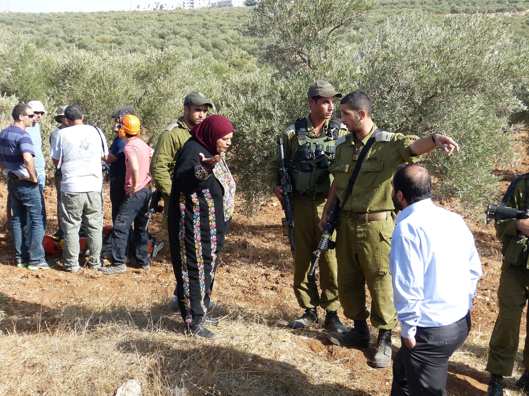 25 Nov 2013 Palestinian woman pleading with Israeli soldiers as trees are cut down_A.Morgan 